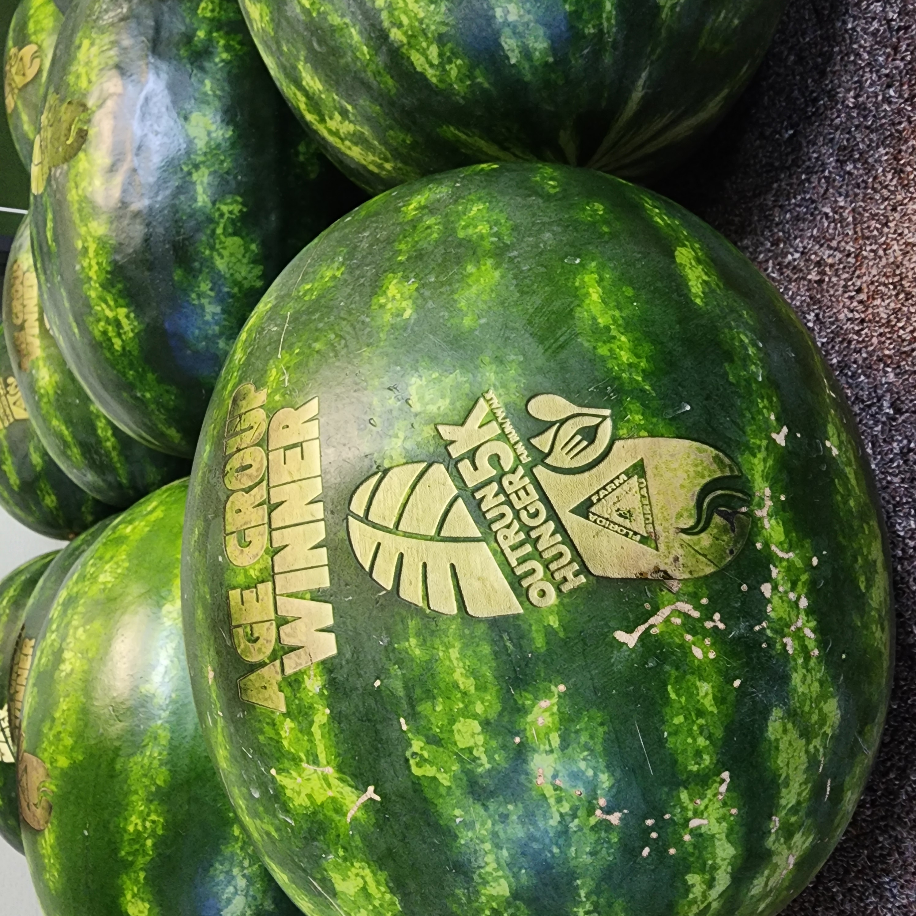 Engraved watermelon